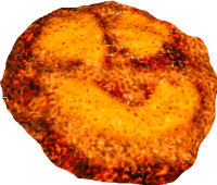 SMILE emote for Discord