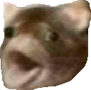 PogRat emote for Discord