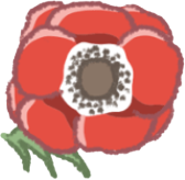 Poppy emote for Discord