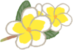 PlumeriaFlower emote for Discord