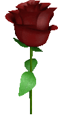 Rose_5 emote for Discord