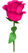 Rose_8 emote for Discord