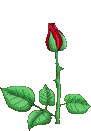 Rose_2 emote for Discord