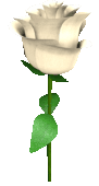 Rose_4 emote for Discord