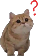 catWhat_questionMark emote for Discord