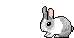 Bunny_2 emote for Discord