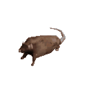 One_rat emote for Discord