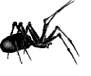 Spider_1 emote for Discord