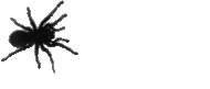 Spider_3 emote for Discord