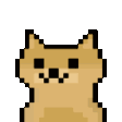 DogeZoom emote for Discord