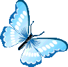 bluebutterfly emote for Discord