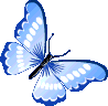 darkbluebutterfly emote for Discord