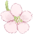 CherryBlossom emote for Discord