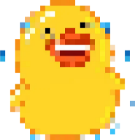 8bitduck_joy emote for Discord