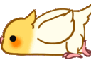 BirdScoot emote for Discord