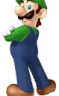 luig emote for Discord