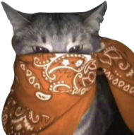 orange_bandana_cat emote for Discord