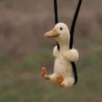 cute_duck emote for Discord