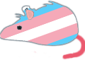 TransRat emote for Discord