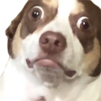 MrBubz emote for Discord