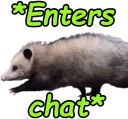 opossum_entering emote for Discord