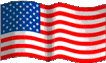 USA_Flag animated emote