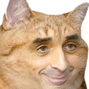 zemmourcat emote for Discord