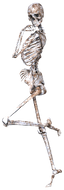 sassy_skeleton emote for Discord