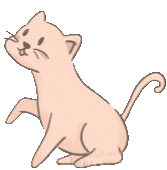 catching_butterflies_kitty emote for Discord