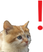 kittenExclamation emote for Discord