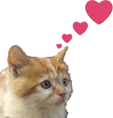 kittenHearts emote for Discord