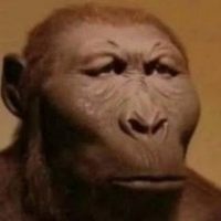 monke_serious emote for Discord