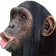 monke emote for Discord