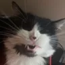 OreoSmilers emote for Discord