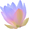 coolflower emote for Discord