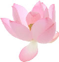 pink_flowers emote for Discord
