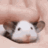 RatPet emote for Discord