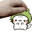 pet_froggy_kitty emote for Discord