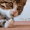 Gaspp emote for Discord