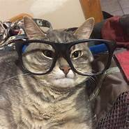 Nerd_Cat emote for Discord