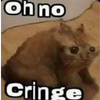 oh_no_cringe_cat emote for Discord