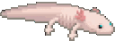 Axolotl emote for Discord