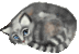 purrcatpurring emote for Discord