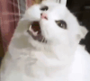 Stunned emote for Discord