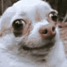 Awkwarddd emote for Discord