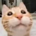 gabe emote for Discord