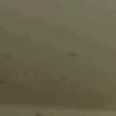 RaiseHand emote for Discord