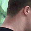 Saywhat emote for Discord
