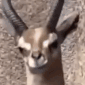 Hide emote for Discord