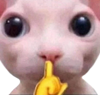 bingus_shh emote for Discord